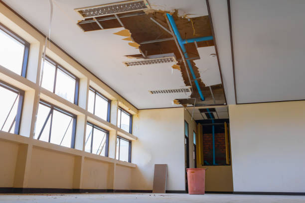 Best Local water damage restoration  in Woodlawn, VA