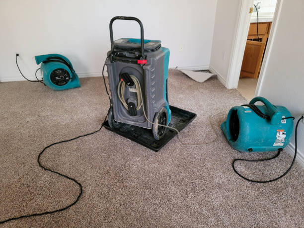 Best Ceiling water damage repair  in Woodlawn, VA