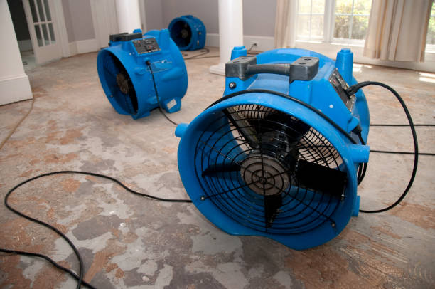  Woodlawn, VA Water damage restoration Pros