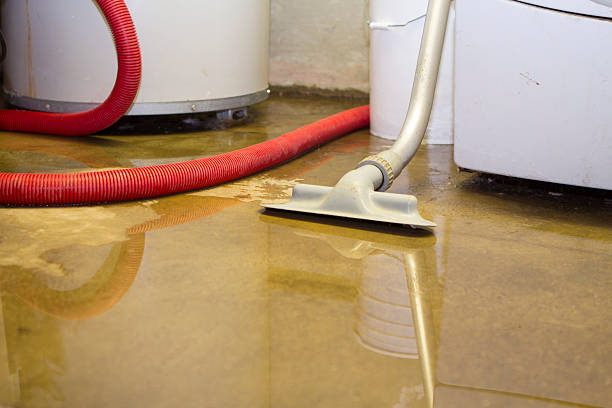 Reliable Woodlawn, VA Water damage restoration Solutions