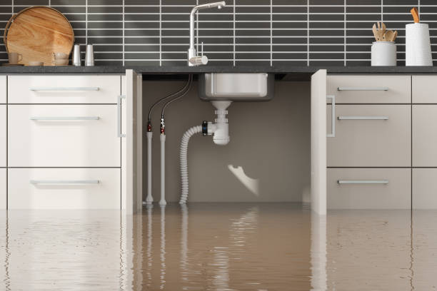 Best 24/7 water damage repair  in Woodlawn, VA